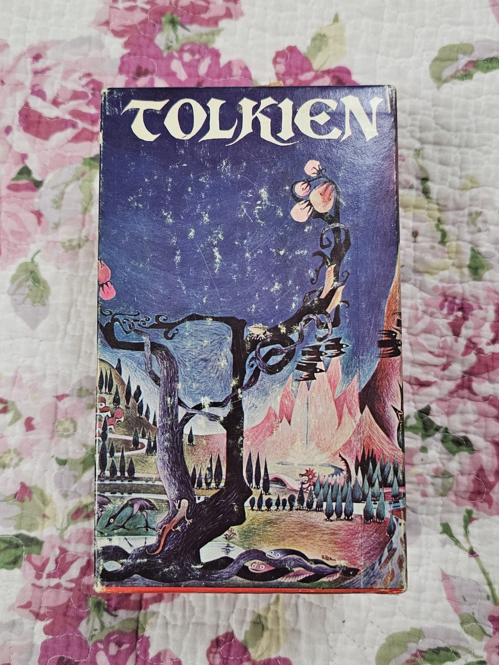 Vintage J.R.R. Tolkien The Lord of the Rings Authorized Paperback Box Set